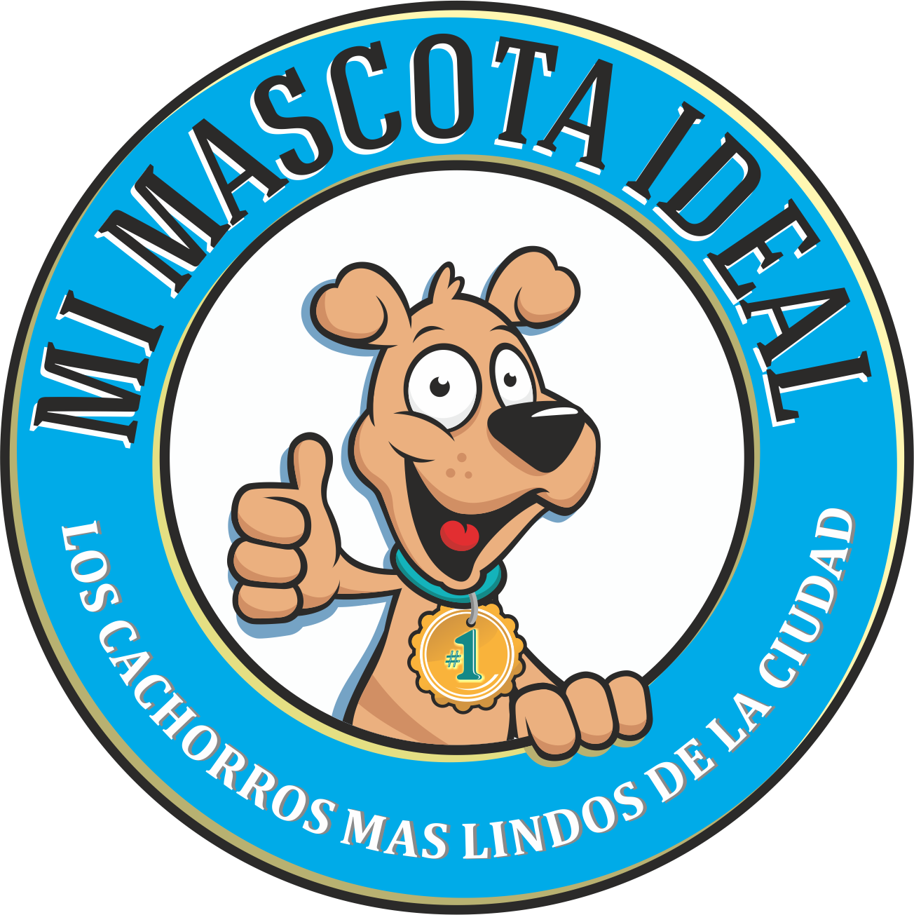 Venta de Cachorros